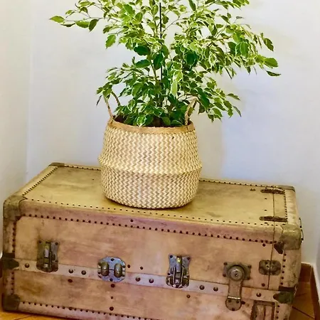 Casa Yahshua Semesterbostad